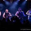 Steve 'n' Seagulls